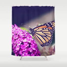 Butterfly Dreams Shower Curtain