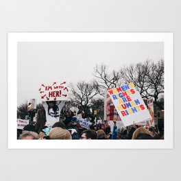 Women's March on the National Mall Art Print