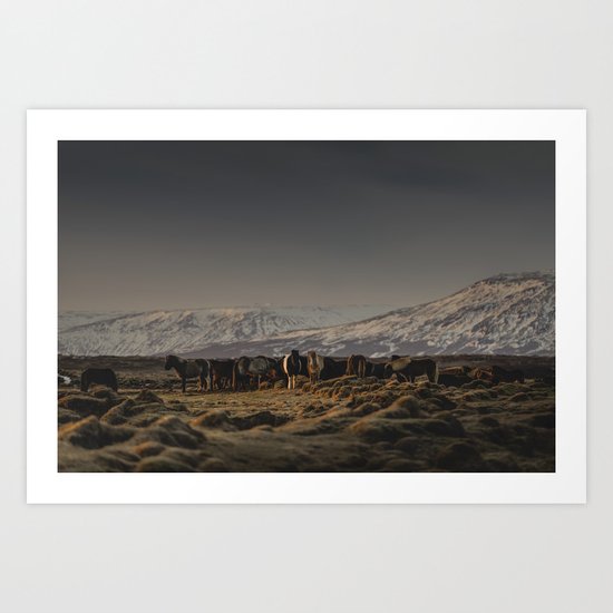 Icelandic Horses I Art Print
