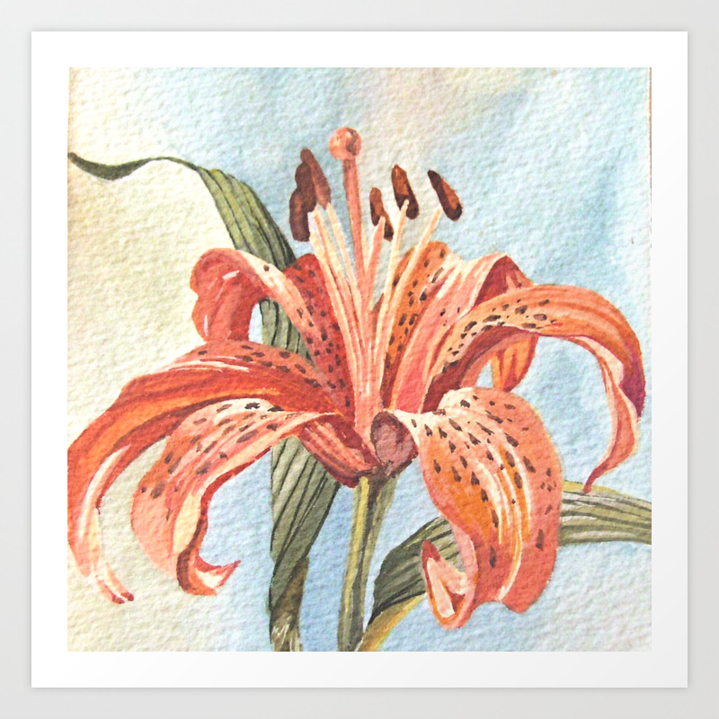 Orange Tiger Lily Watercolor Painting Art Print By Betweentheweeds