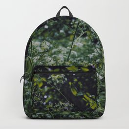 Into the Wild Backpack
