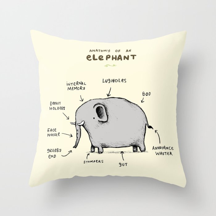 Throw Pillow