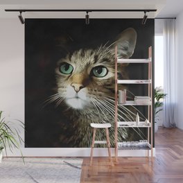 Tabby Cat With Green Eyes Isolated On Black Wall Mural