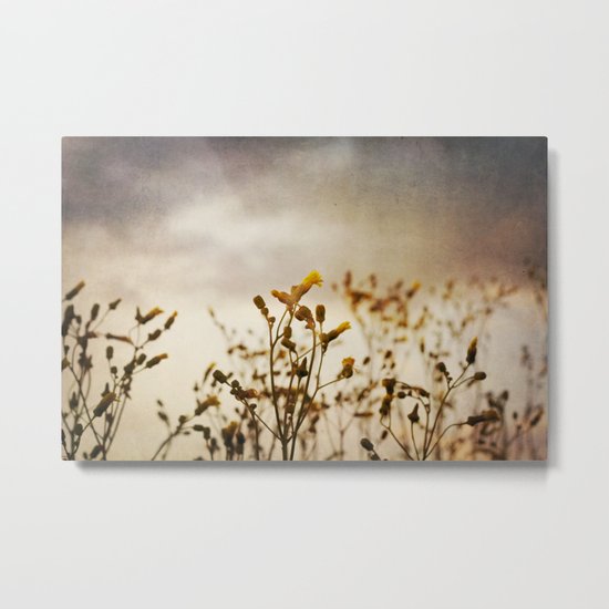 summer nights Metal Print