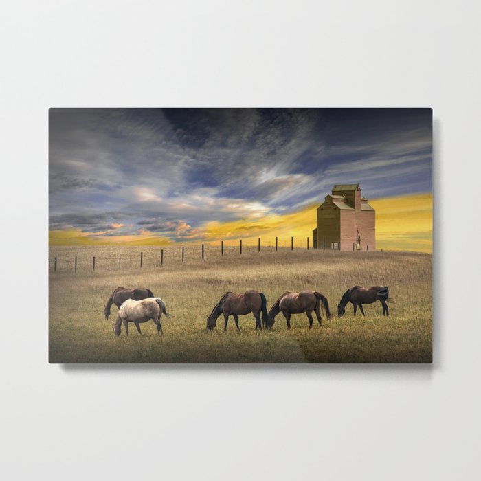 Evening on the Prairie with Grain Elevator and Grazing Horses Metal Print
