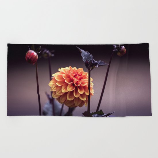 Treasure of Nature V Beach Towel
