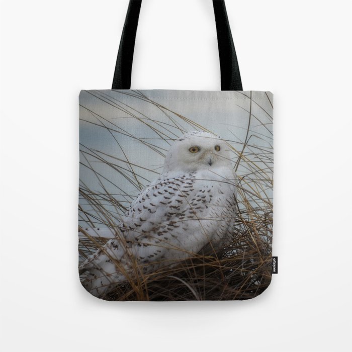 snowy owl in sand dunes Tote Bag