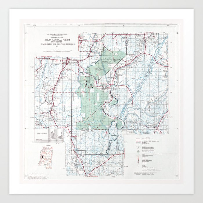 Delta National Forest Map (1976) Mississippi Woodland Reserve Atlas Art Print by BravuraMedia