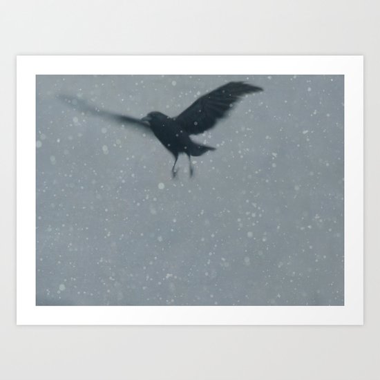 Snow Bird Art Print