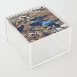 Carrion Crows of the battlefield Acrylic Box