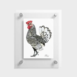 Chicken 3 in Color (2022) Floating Acrylic Print