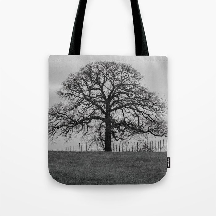 Spooky leafless tree on fence line silhouetted on the horizon against a gloomy sky Tote Bag