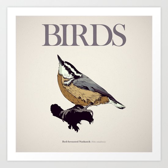 BIRDS 01 Art Print