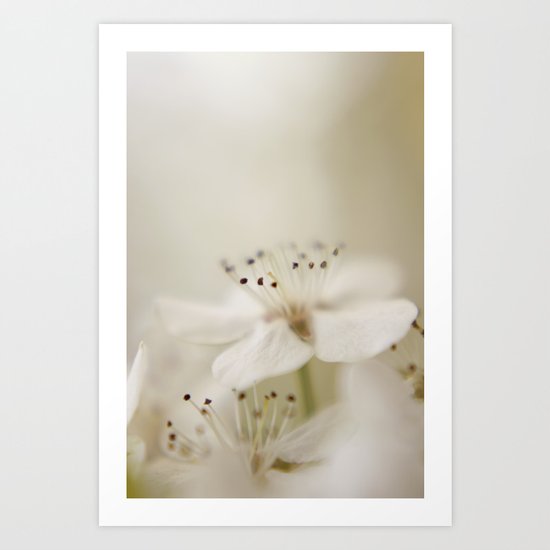 Soft Art Print