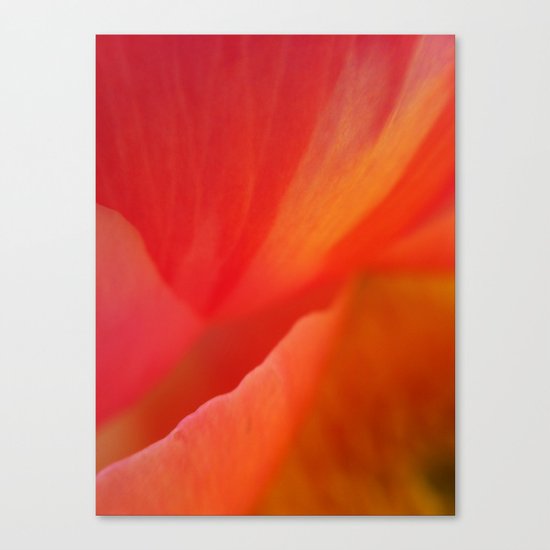 Peonies - I Canvas Print