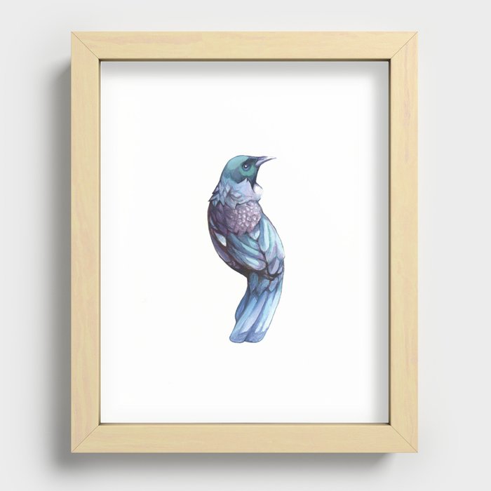 Tui Bird Recessed Framed Print