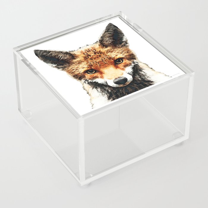 Sly Red Fox Full Face Wild Animal By Sharon Cummings Acrylic Box