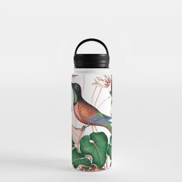 Crimson topaz hummingbird, Cyclamen, Red Postman and shells from the Natural History Cabinet  Water Bottle