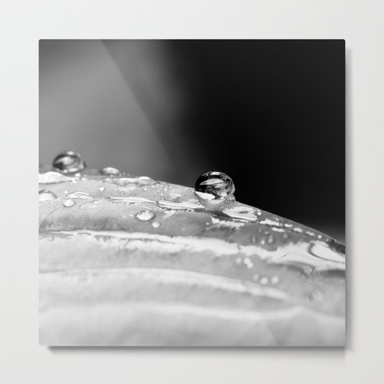 drop in black and white Metal Print