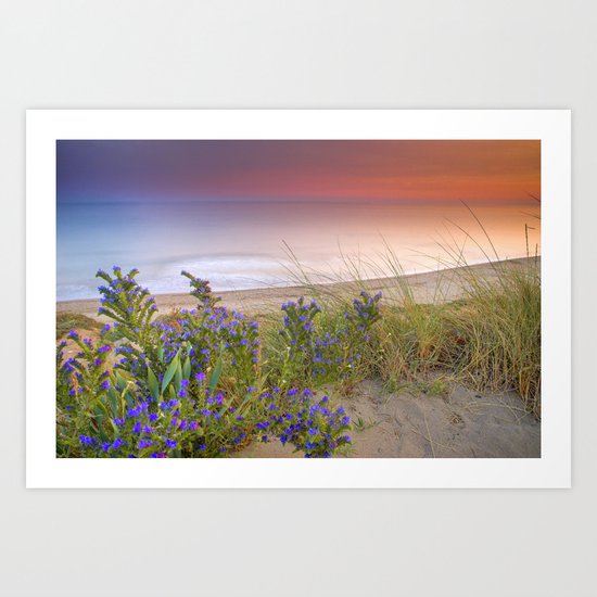 "Purple flowers at the sea sunset" Art Print