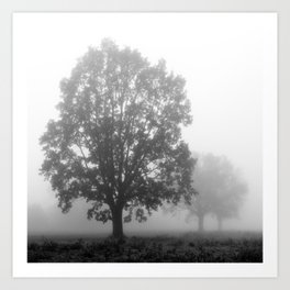 Trees on a Misty Morning Art Print