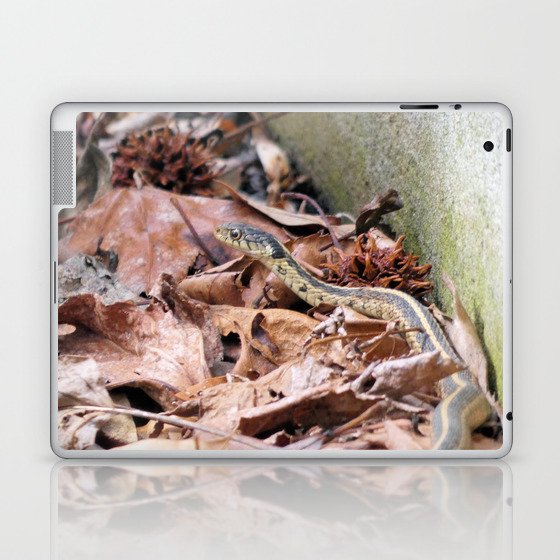 Garter Snake in the Leaves Laptop & iPad Skin
