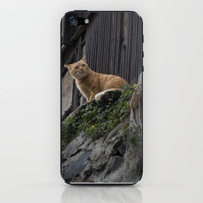 An Orange Cat In Japan Iphone Skin By Jud3030 Society6