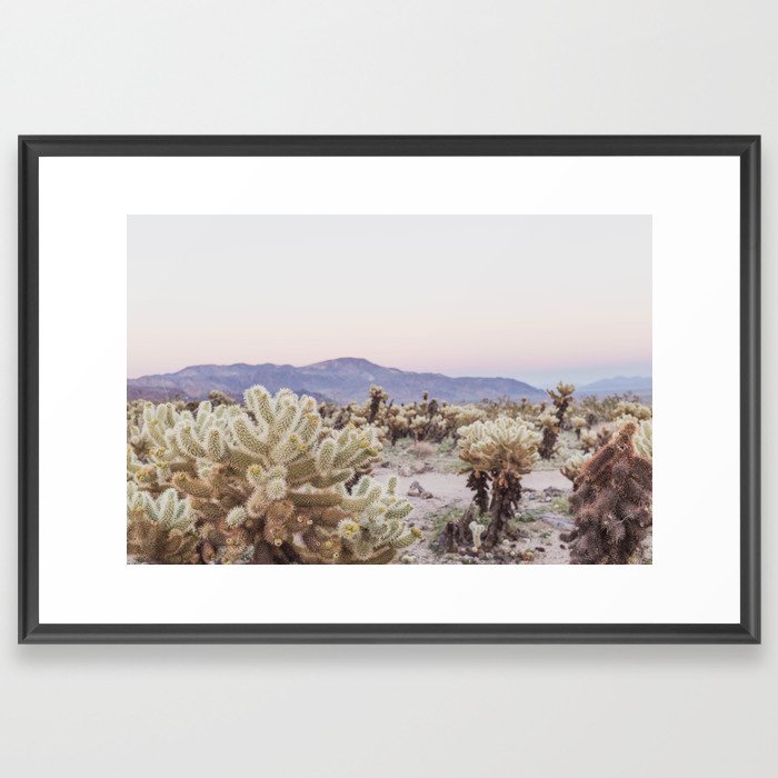 Joshua Tree Cholla Cactus Garden at Sunset Framed Art Print