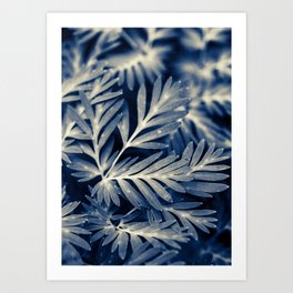 Navy Blue Leaves Art Print