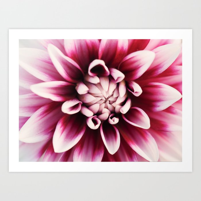 Print photos on sale at meijer