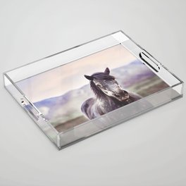 Wild & Free x Montana Horse Photography Acrylic Tray