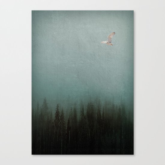 Look to the North Canvas Print