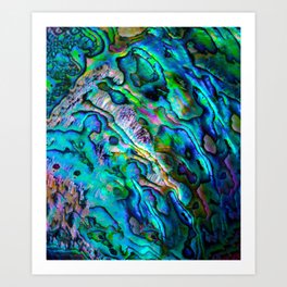 Abstract Paua Abalone Shell Texture Pattern Art Print
