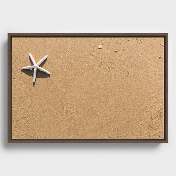 Starfish Framed Canvas