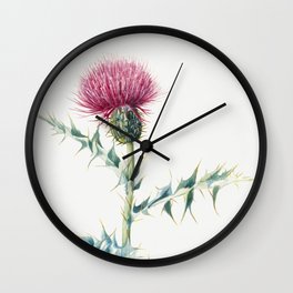 Thistle Cirsium arizonica  Wall Clock | Cc0, Art, Plant, Mary, Canvas, Vintage, Painting, Cirsium, Famous, Artwork 