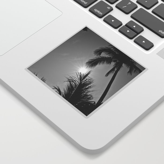 Palm tree black and white | tropical boho Thailand island photography | nature travel photo print Sticker