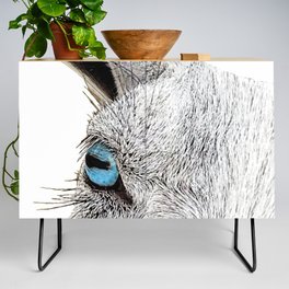 Crystal Clear Goat Eyes In Blue Credenza