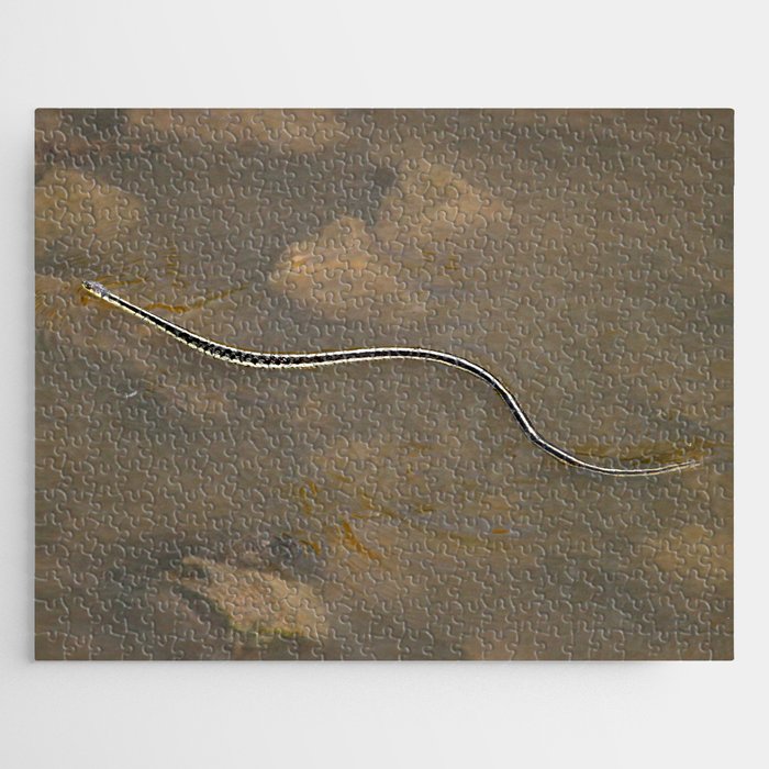 Garter Snake Swimming in the River Jigsaw Puzzle