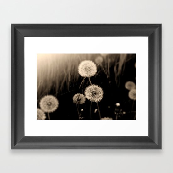 Dandelions Framed Art Print