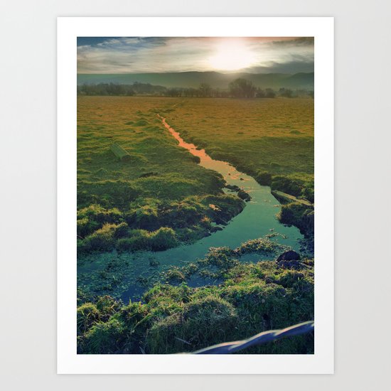 country feedback Art Print