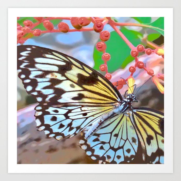 Butterfly garden Art Print