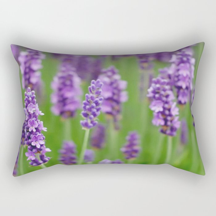 lavender Rectangular Pillow