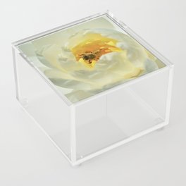 Bee Inside the Waterlily Acrylic Box