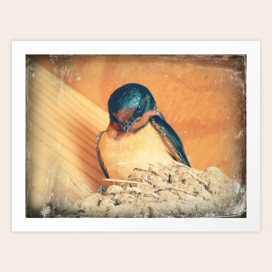 Nest Egg Art Print
