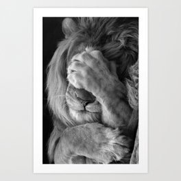 Even Lions Have Bad Days - The Lion Sleeps Tonight black and white photograph  Art Print
