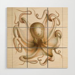 Octopus from "Mollusques Méditeranéens" by Jean Baptiste Vérany, 1851 Wood Wall Art