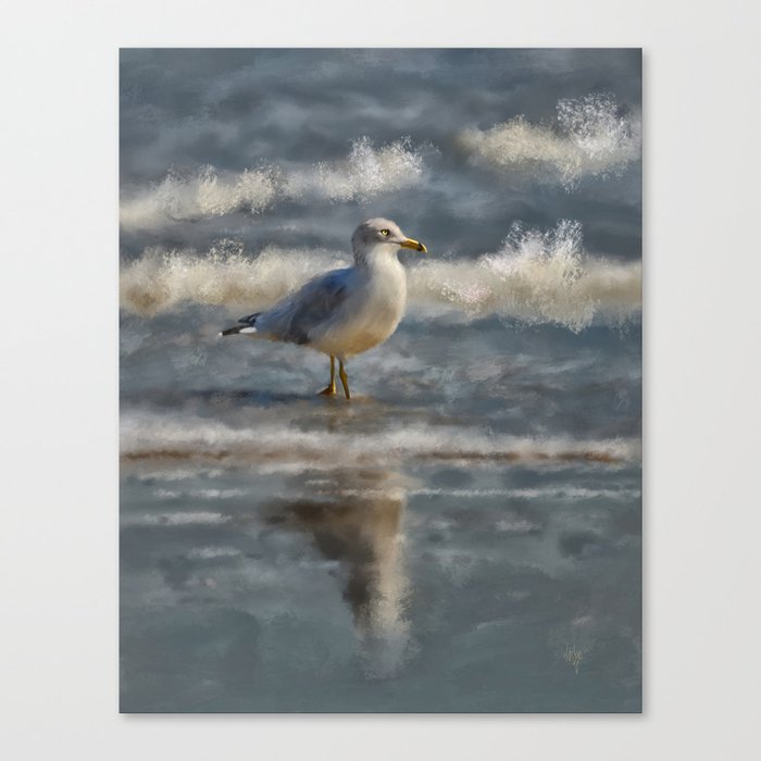 Seagull By The Seashore Canvas Print