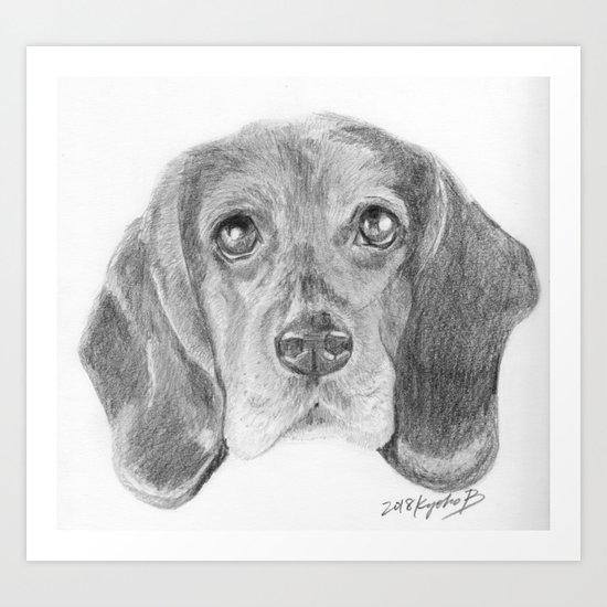 Beagle Dog Face Realistic Pencil Sketch Drawing Art Print By