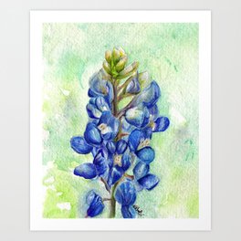 Texas Bluebonnets - Blue and green wildflower art Art Print