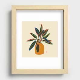 PLANT WITH COLOURFUL LEAVES  Recessed Framed Print